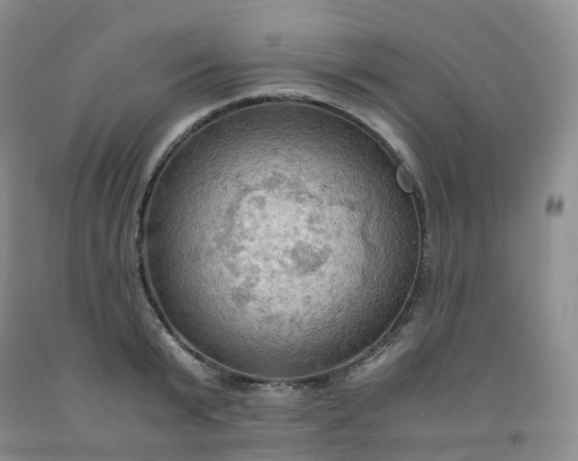 X0000092000799200709201508