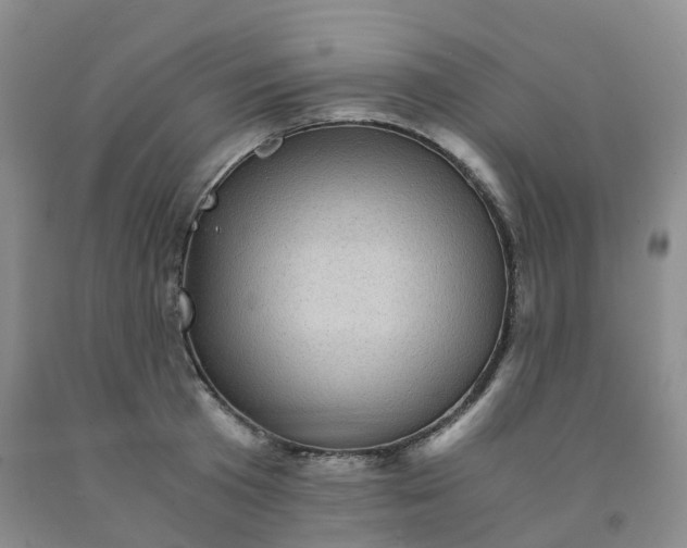 X0000092000801200709201508