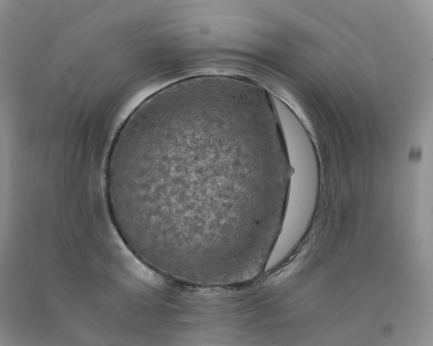 X0000092000803200709201508