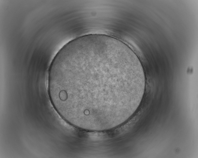 X0000092000804200709201508