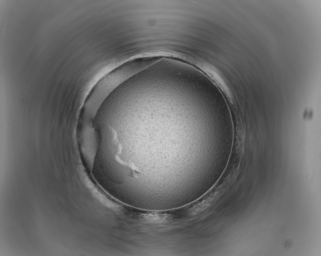 X0000092000805200709201508