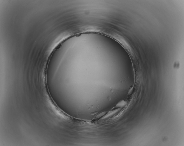 X0000092000806200709201508