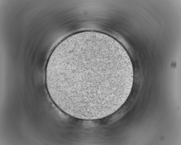 X0000092000807200709201508