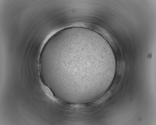 X0000092000808200709201508