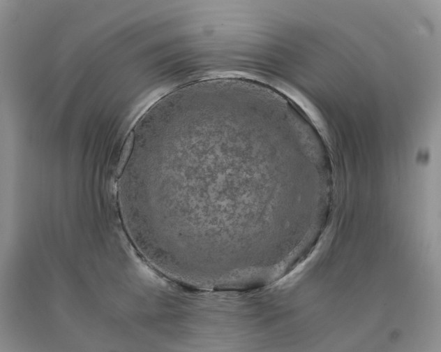 X0000092000809200709201508