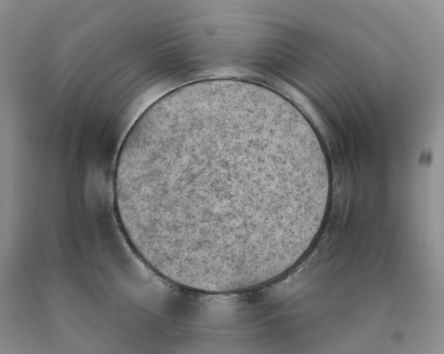 X0000092000810200709201508