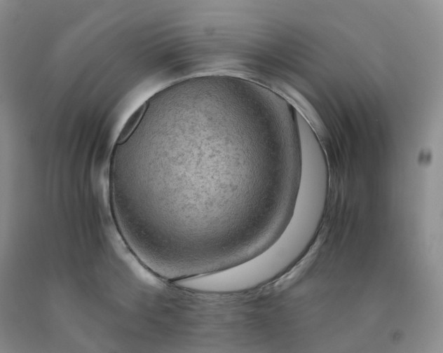 X0000092000812200709201508