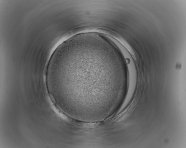 X0000092000813200709201508