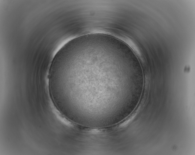 X0000092000814200709201508