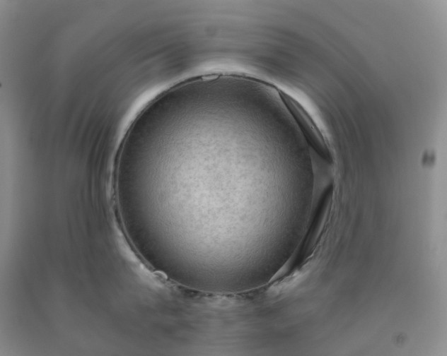 X0000092000815200709201508