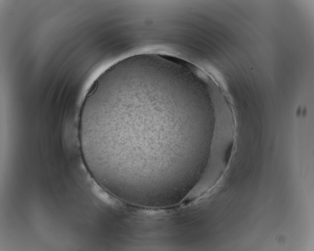 X0000092000816200709201508