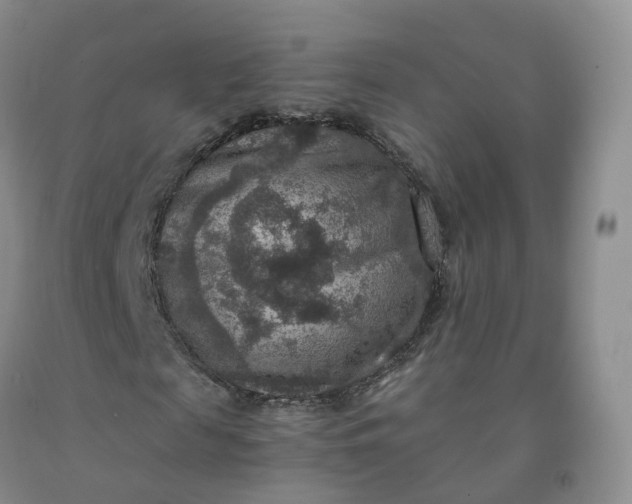 X0000092000817200709201507