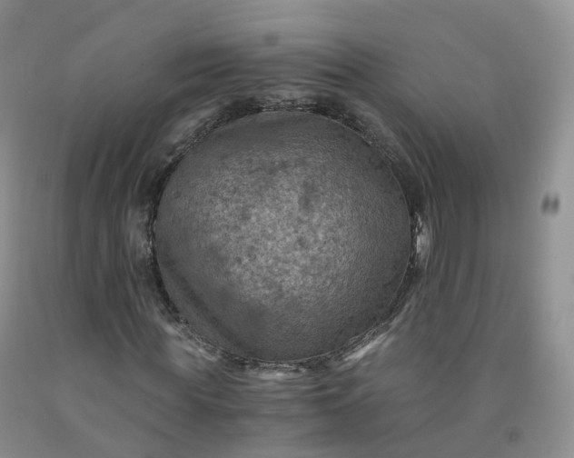 X0000092000819200709201507