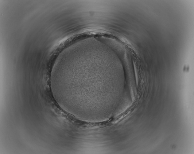 X0000092000822200709201507