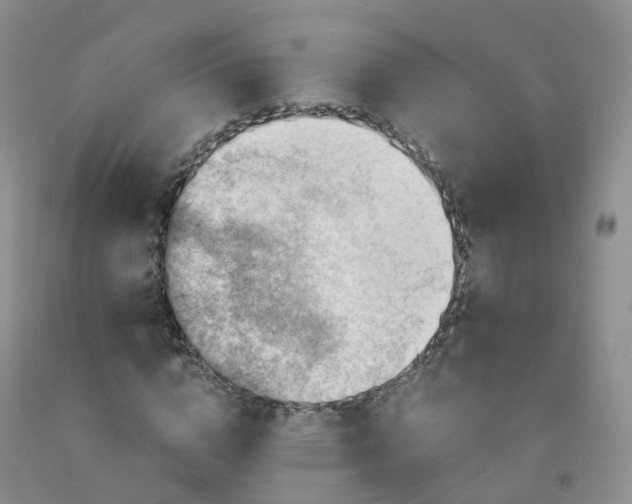 X0000092000824200709201507