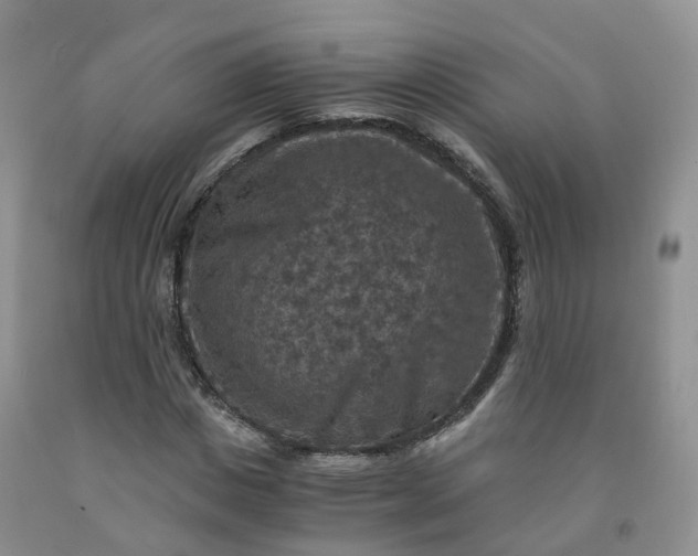 X0000092000825200709201507