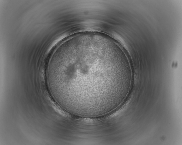 X0000092000827200709201507