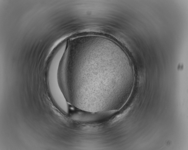 X0000092000830200709201507