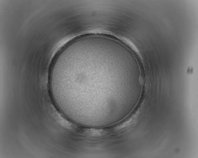 X0000092000831200709201507