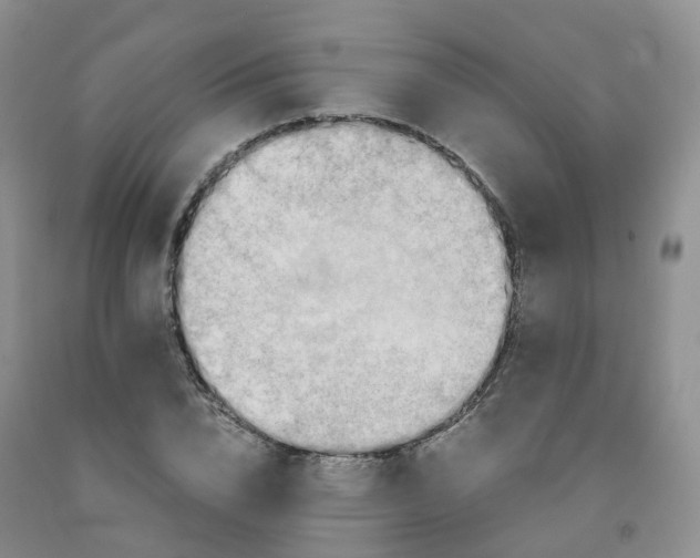 X0000092000832200709201507