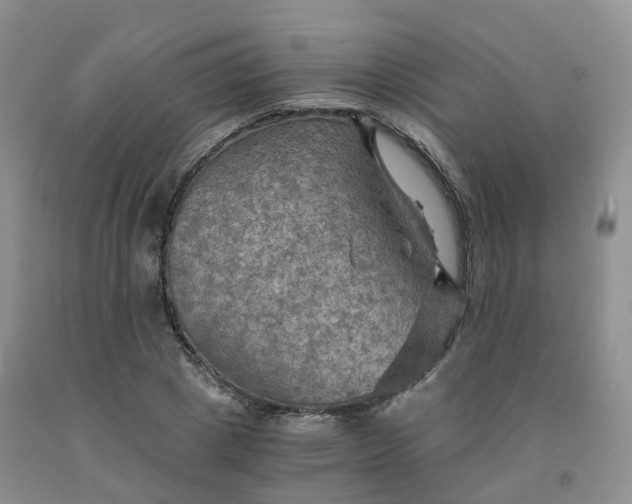 X0000092000833200709201507