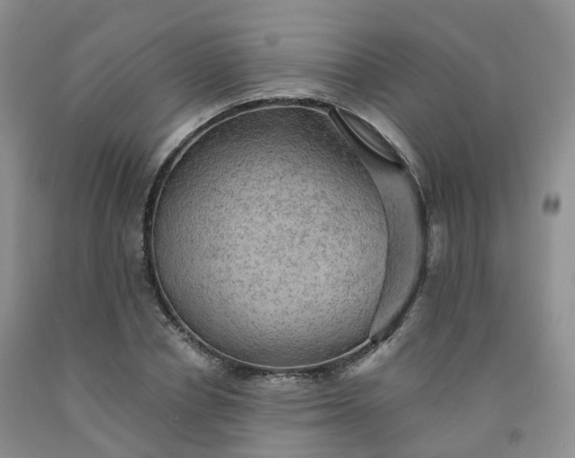 X0000092000834200709201507