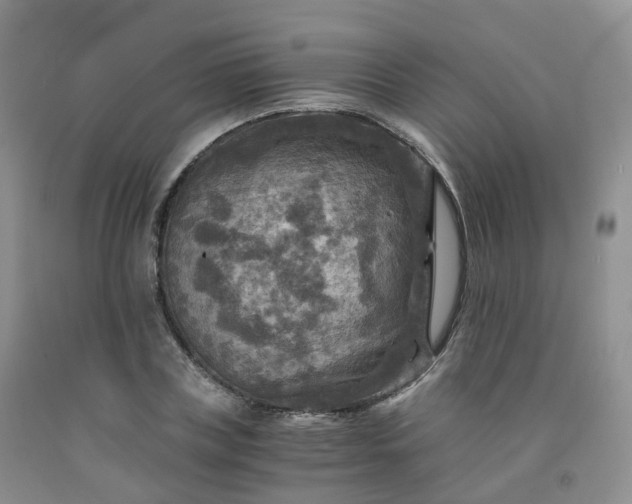 X0000092000835200709201507