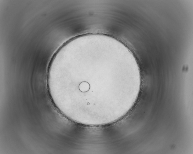 X0000092000836200709201507