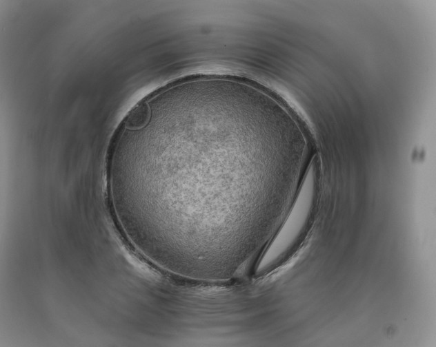 X0000092000837200709201507