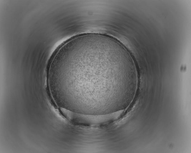 X0000092000838200709201507