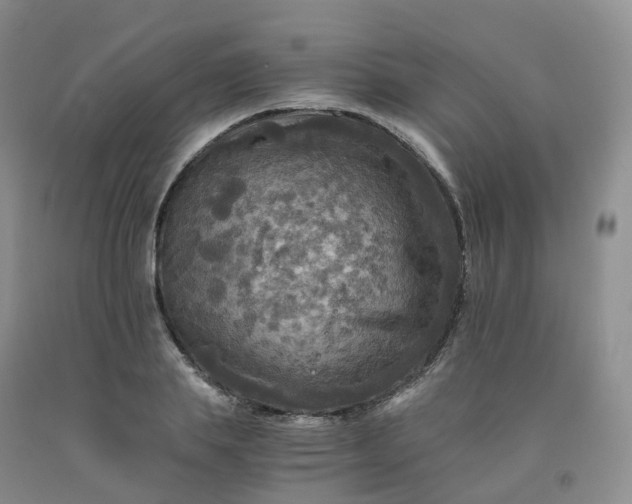 X0000092000839200709201507