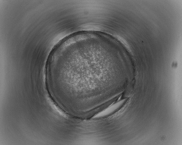 X0000092000840200709201507