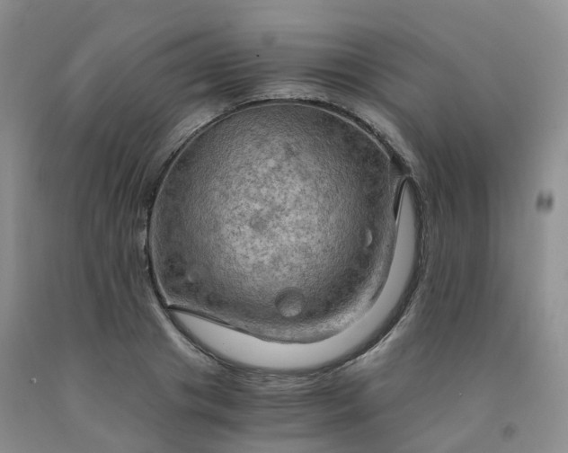 X0000092000841200709201507