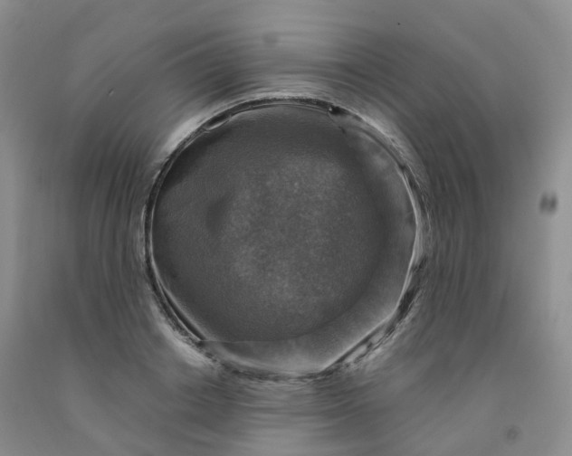 X0000092000842200709201507