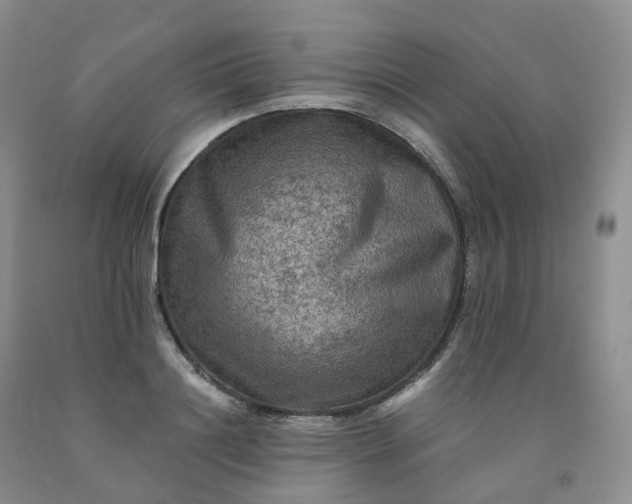 X0000092000844200709201507