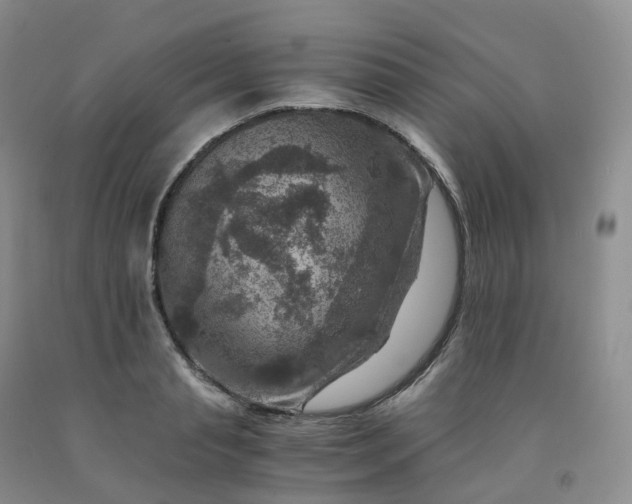 X0000092000845200709201507