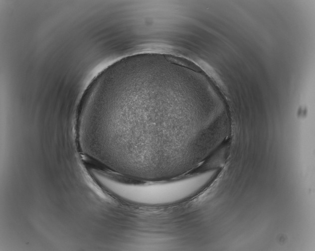 X0000092000846200709201507