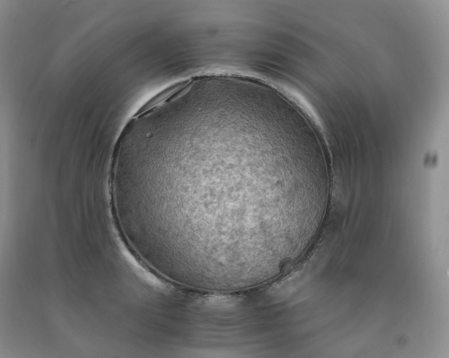 X0000092000847200709201507