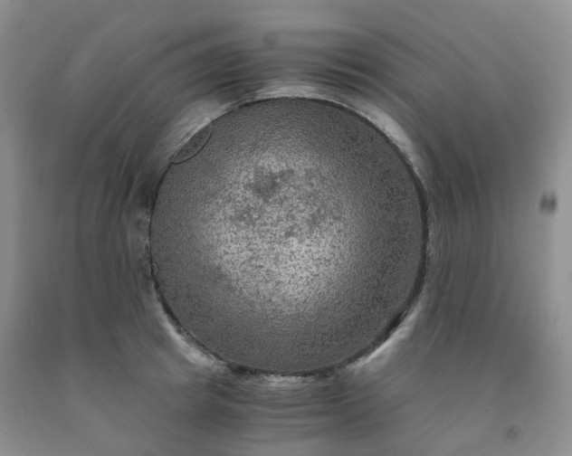 X0000092000849200709201507