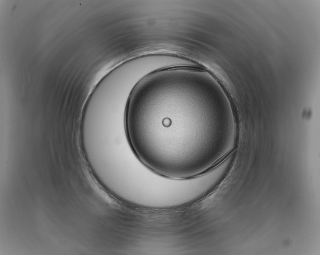 X0000092000850200709201507