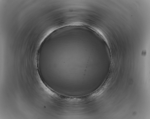 X0000092000851200709201507