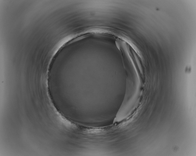 X0000092000853200709201507