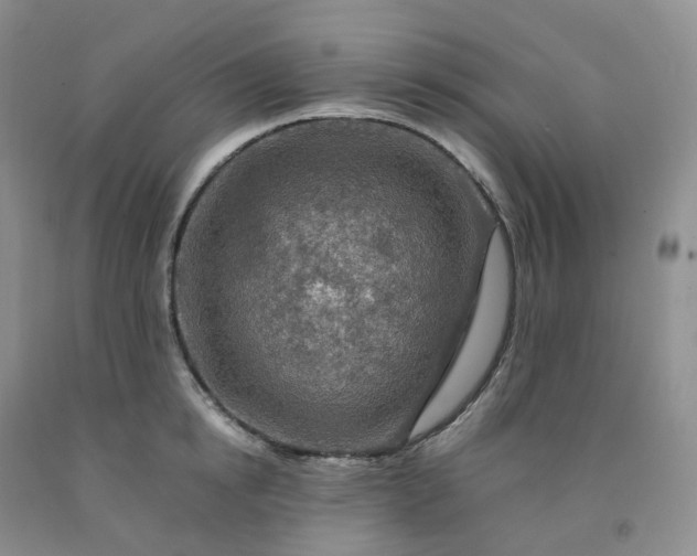 X0000092000854200709201507