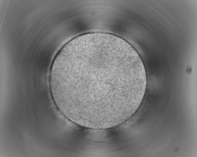 X0000092000856200709201507