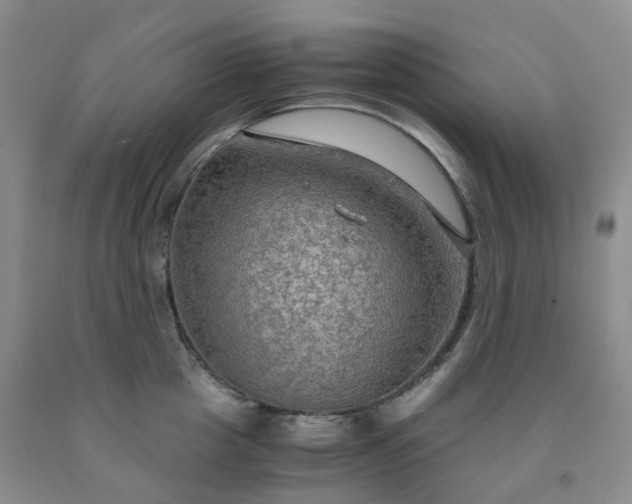 X0000092000857200709201507