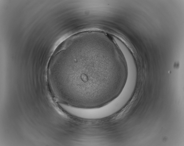 X0000092000858200709201507