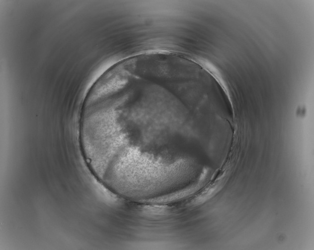 X0000092000859200709201507