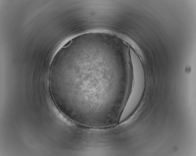 X0000092000860200709201507