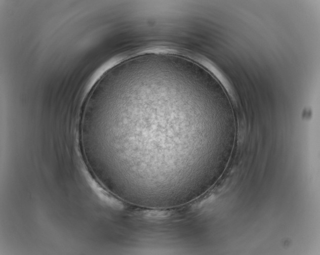 X0000092000861200709201507