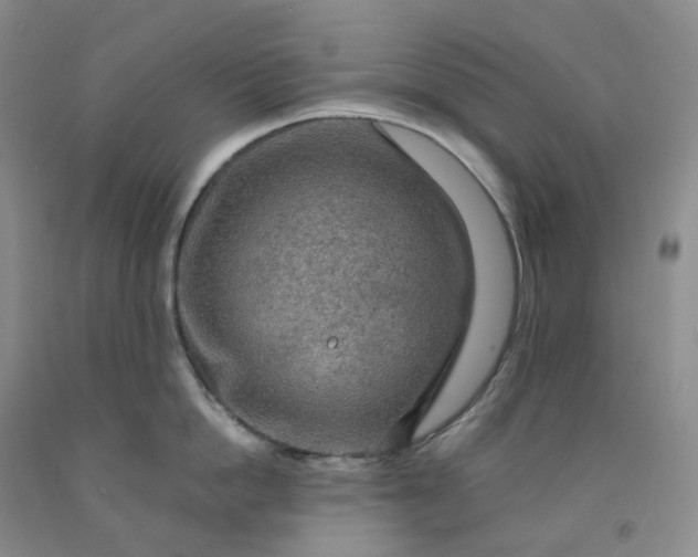 X0000092000862200709201507